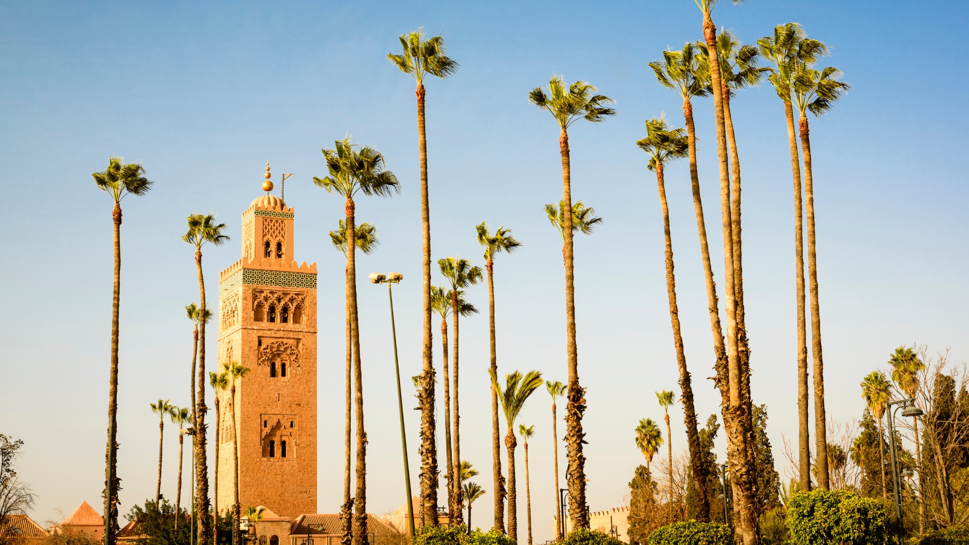 Vanessa's Trip to Marrakesh