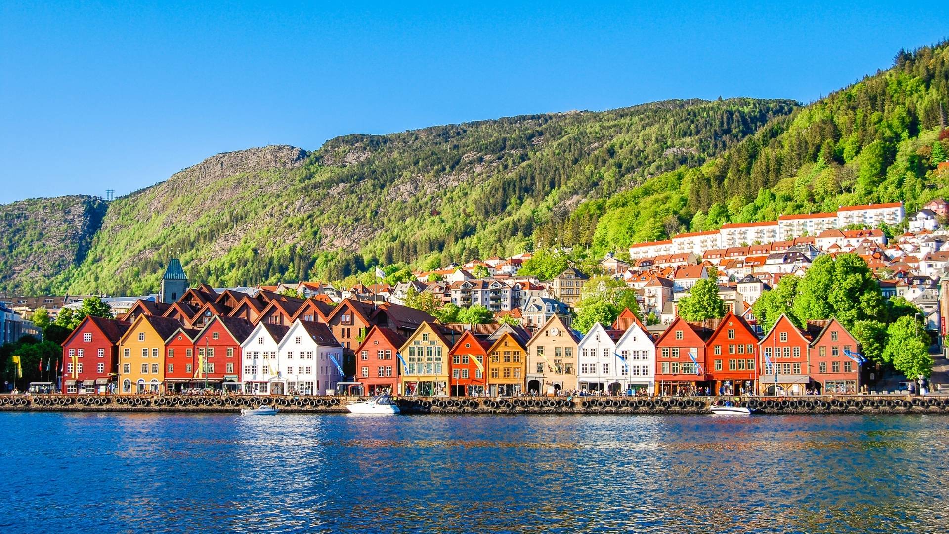 Book With Our Bergen Experts