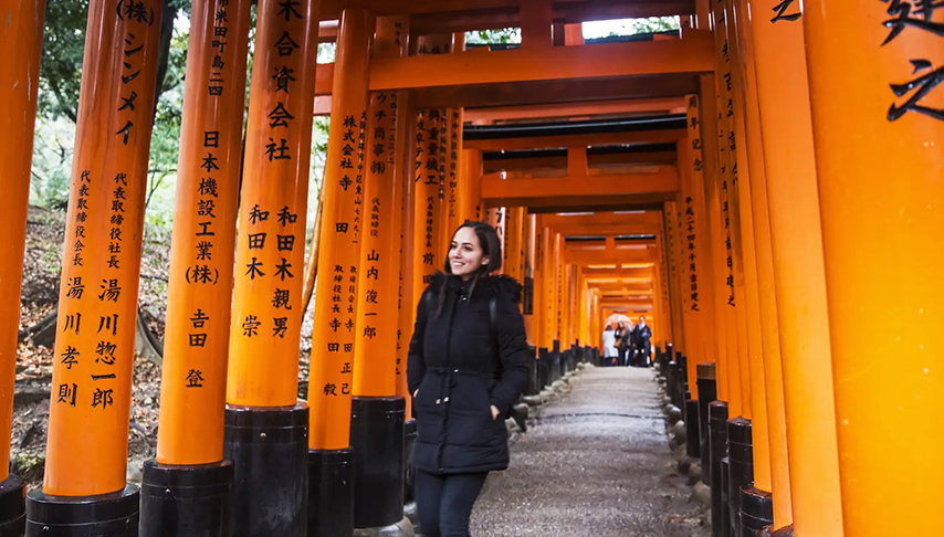 Epic Japan: Speed Trains & Street Food Tour